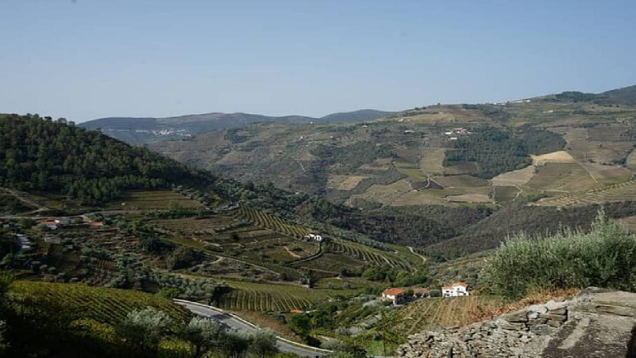 HIKING in the Douro Valley