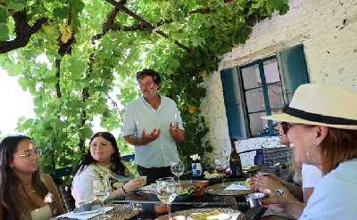 PRIVATE DOURO VALLEY: 2 boutique wineries, lunch & 1-h boat tour