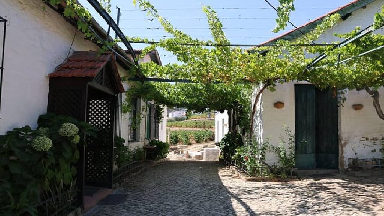 PRIVATE DOURO VALLEY: 2 boutique wineries, lunch & 1-h boat tour