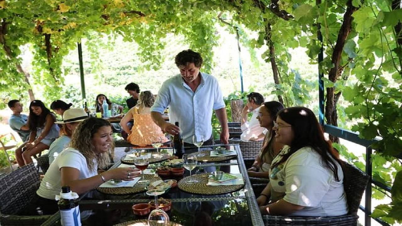 PRIVATE DOURO VALLEY: 2 boutique wineries, lunch & 1-h boat tour