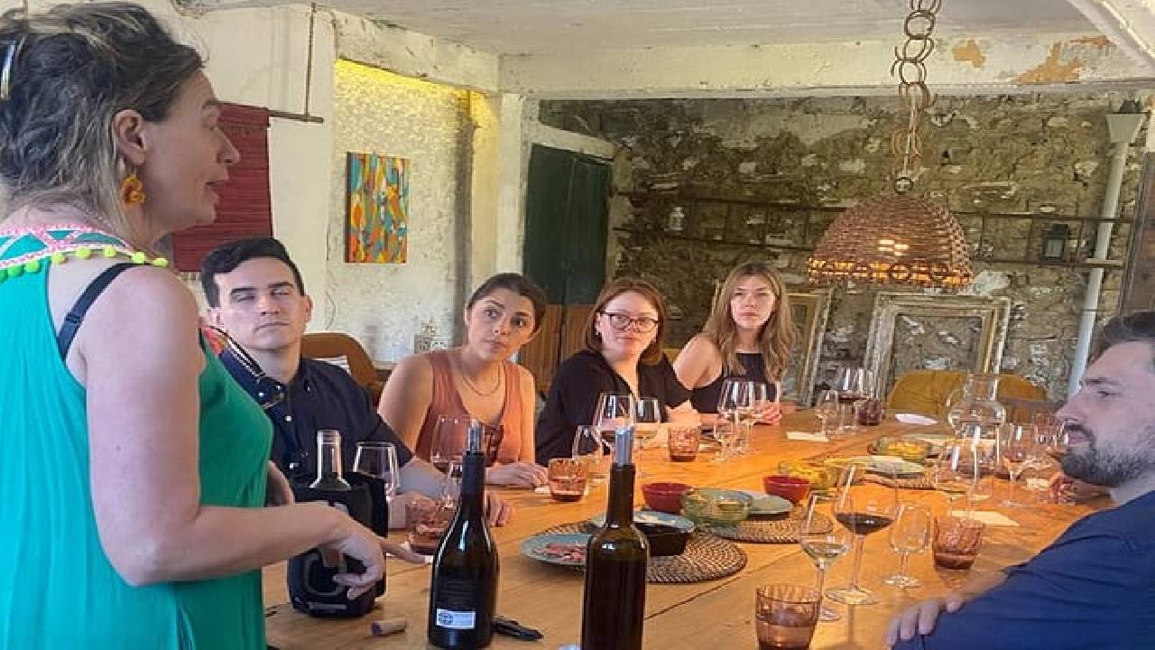 PRIVATE DOURO VALLEY: 2 boutique wineries, lunch & 1-h boat tour