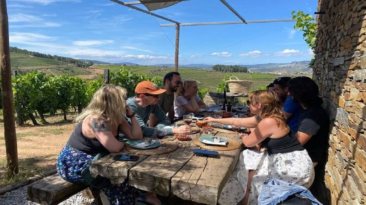 PRIVATE DOURO VALLEY: 2 boutique wineries, lunch & 1-h boat tour