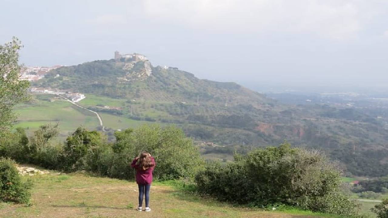 Bread, Wine&Cheese, The Natural Taste