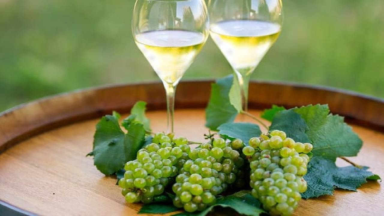 VIP Experience to Lake Iseo and Franciacorta Wine Tasting