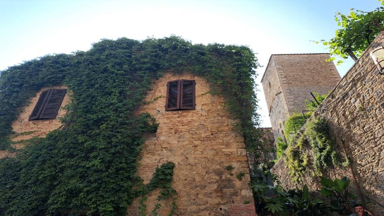 Best of Tuscany Experience: Pisa, Siena, San Gimignano & Wine