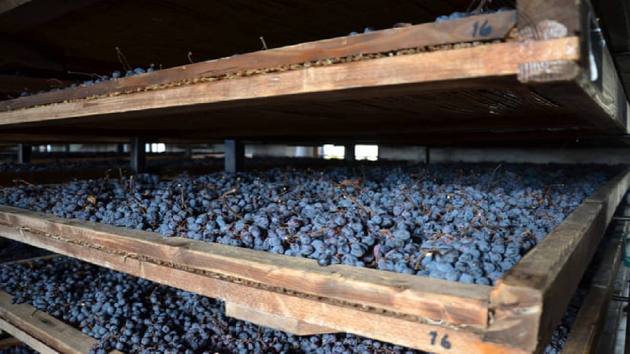 From Verona: Half-Day Valpolicella & Amarone Wine Experience