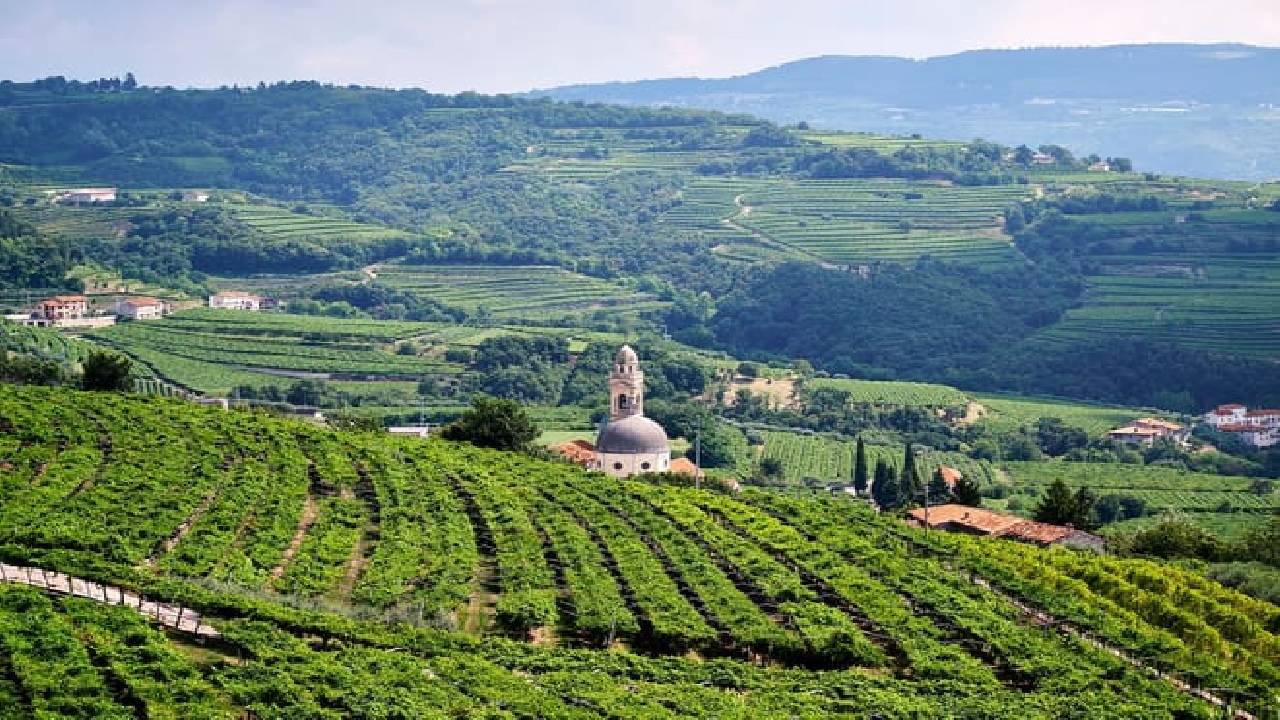 From Verona: Half-Day Valpolicella & Amarone Wine Experience