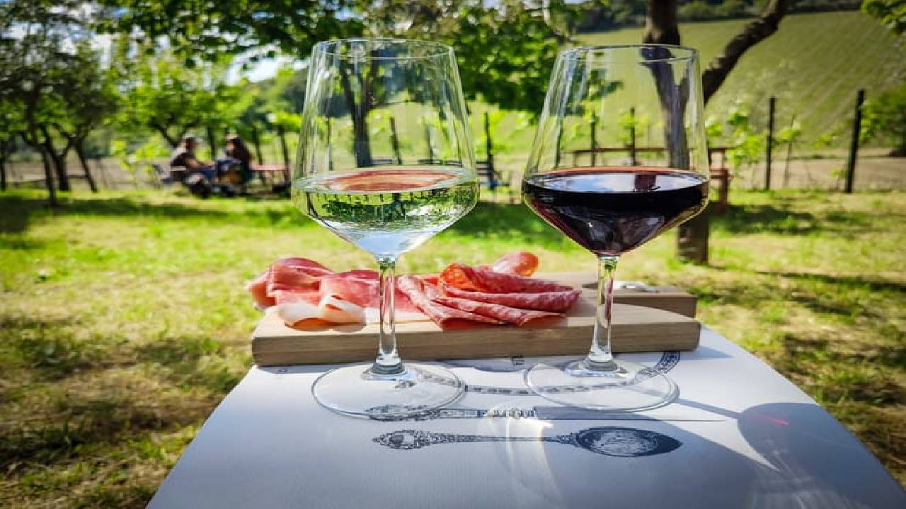 Half Day Escape to Chianti: Taste the Heart of Tuscany