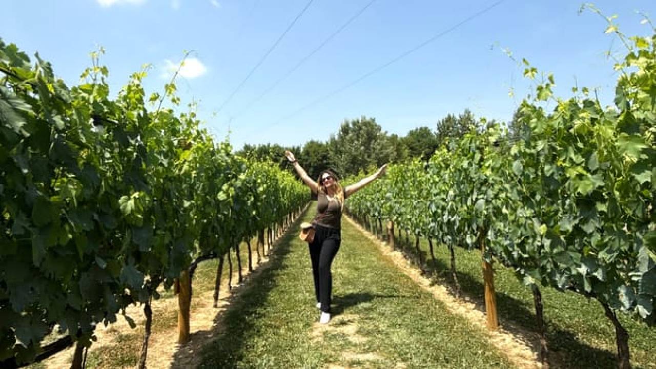 Half Day Escape to Chianti: Taste the Heart of Tuscany