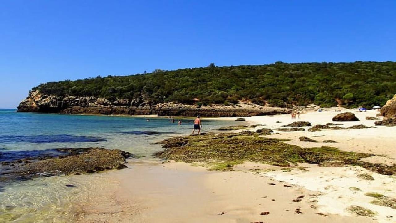 Lisbon´s South Sights & Wine 