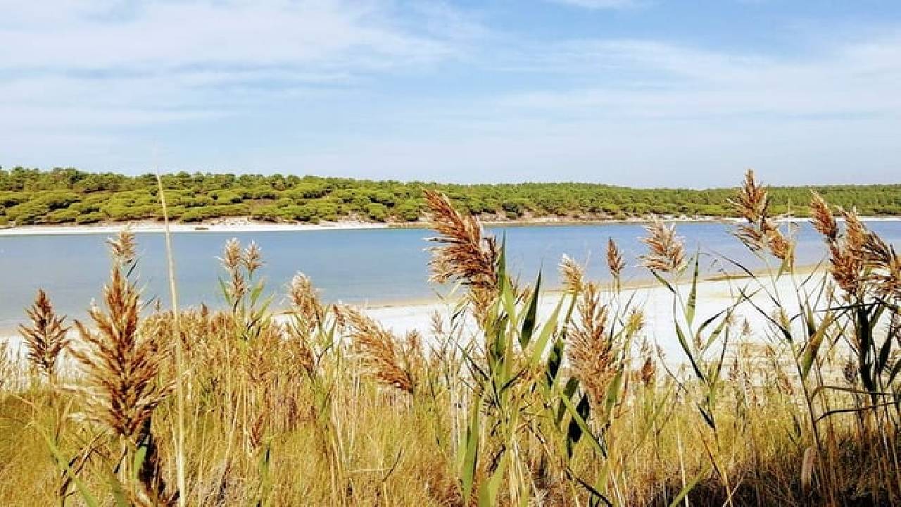 Stand Up Paddle Adventure at Lisbon