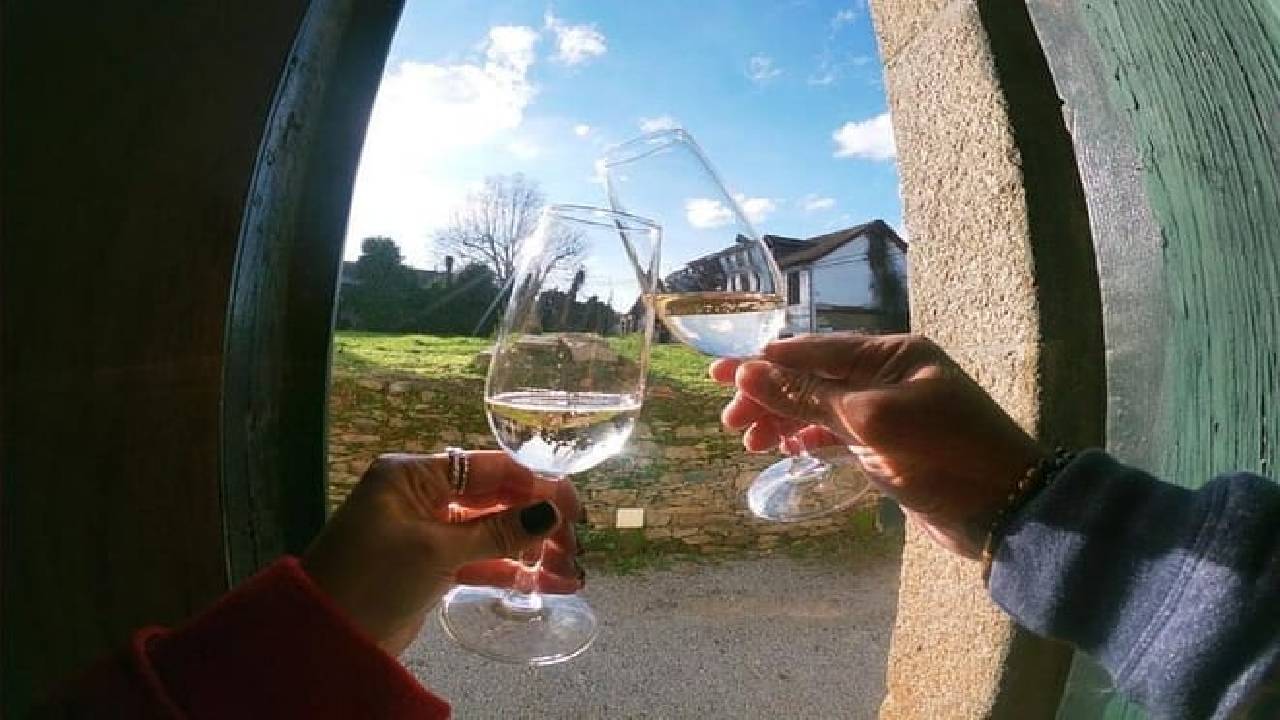 Douro Valley: Small-Group Tour Wine Tasting, Lunch & River Cruise