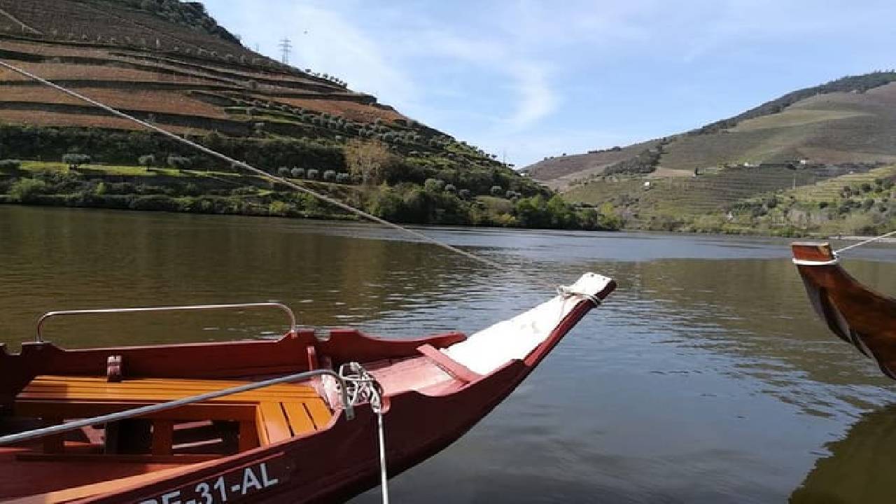 Douro Valley: Small-Group Tour Wine Tasting, Lunch & River Cruise