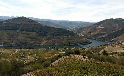 Private Douro Valley Wine Tour with Boat Cruise & Lunch