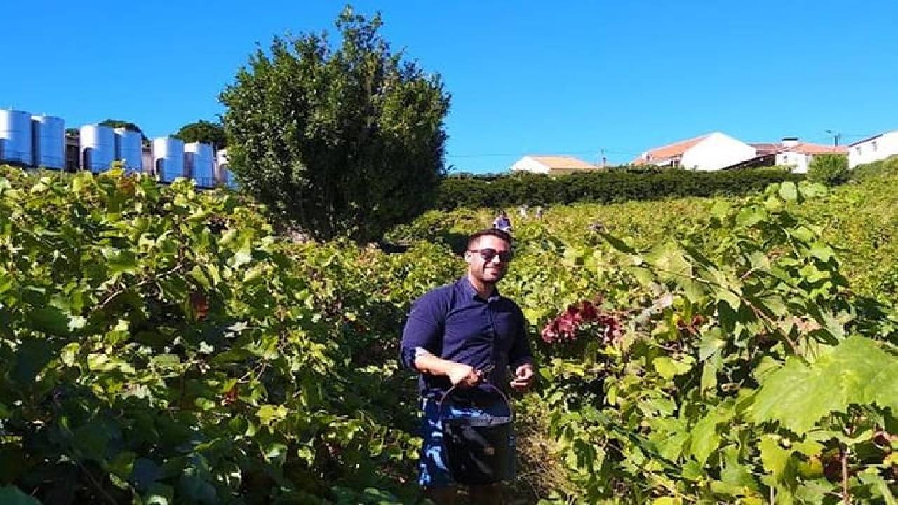 Wine Venture and Boat Trip in Douro Valley from Porto