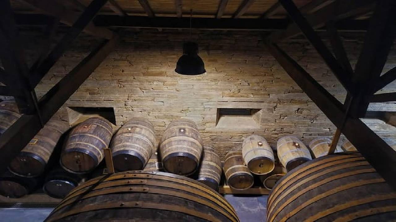 Wine Venture and Boat Trip in Douro Valley from Porto