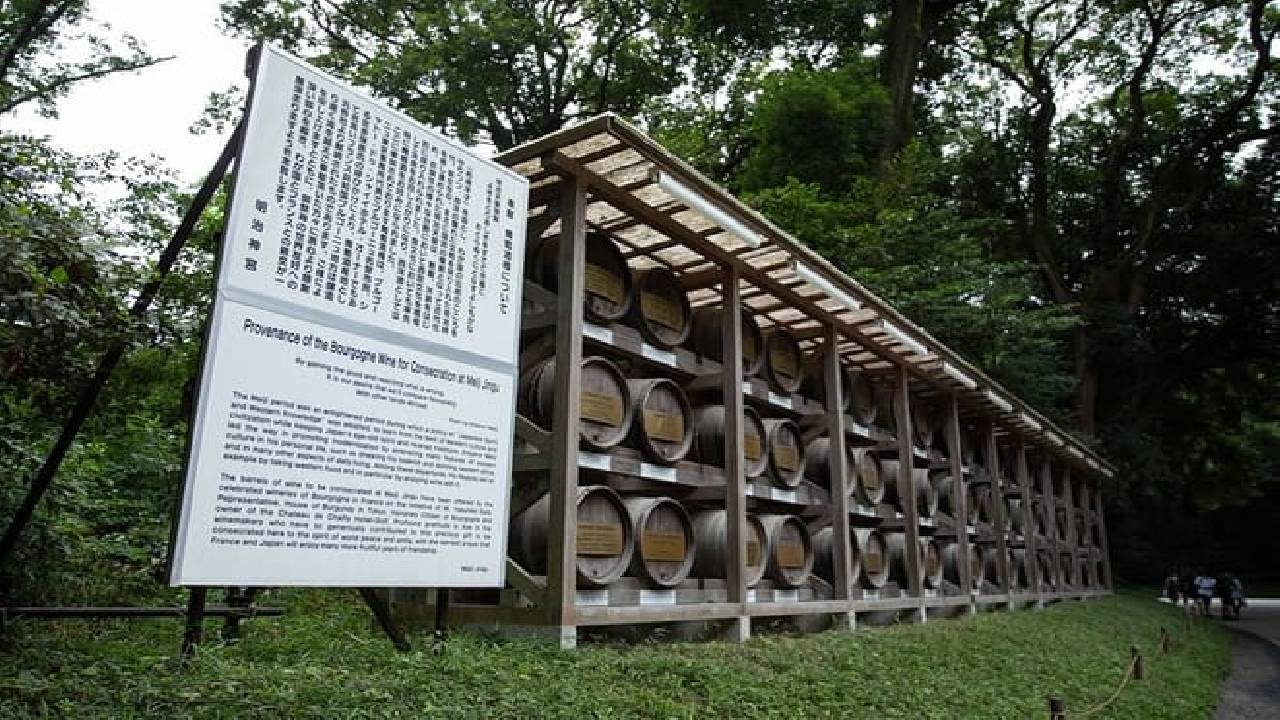 Harajuku Meiji Shrine Walking Tour in Tokyo