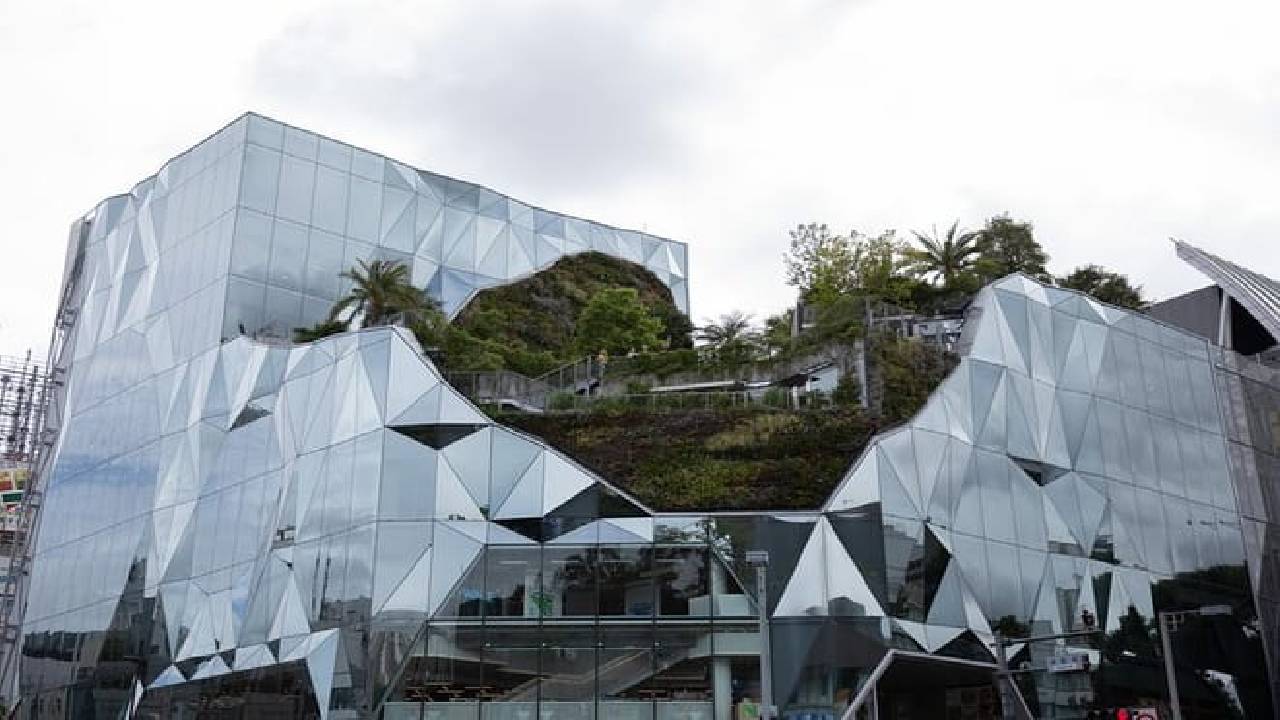 Harajuku Meiji Shrine Walking Tour in Tokyo