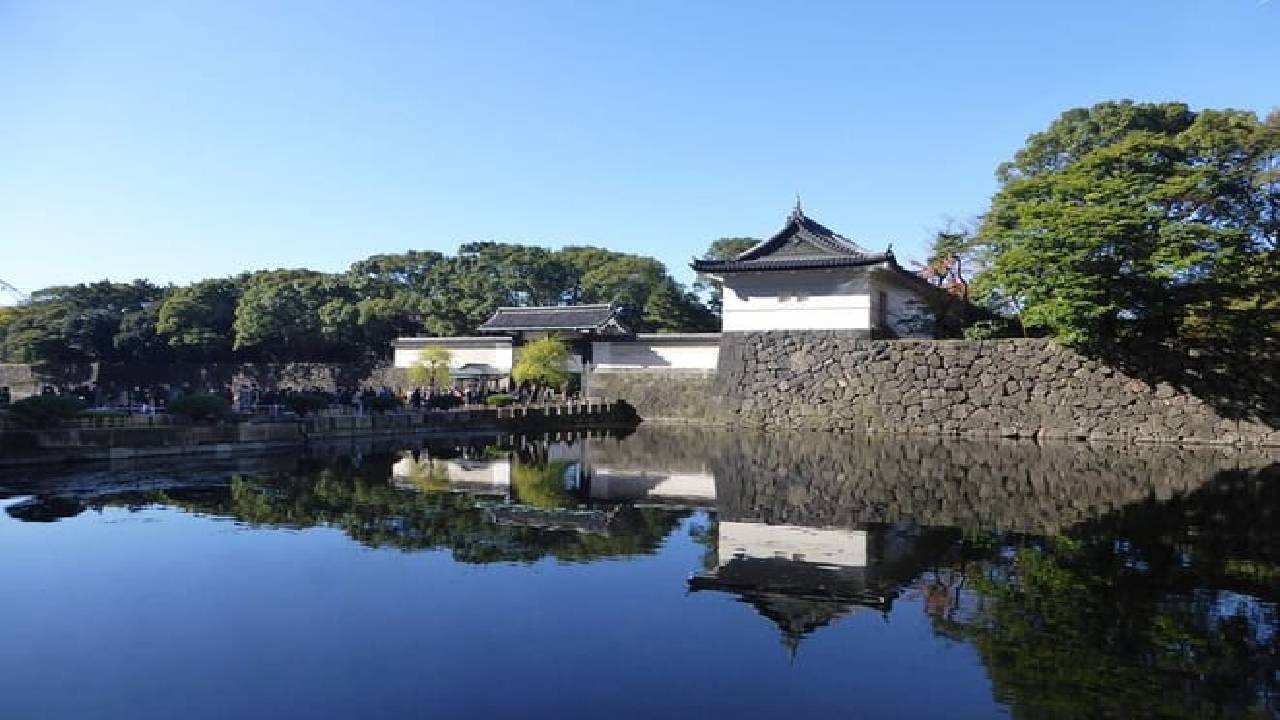 Imperial Palace East Garden and Edo Castle Walking Tour in Tokyo