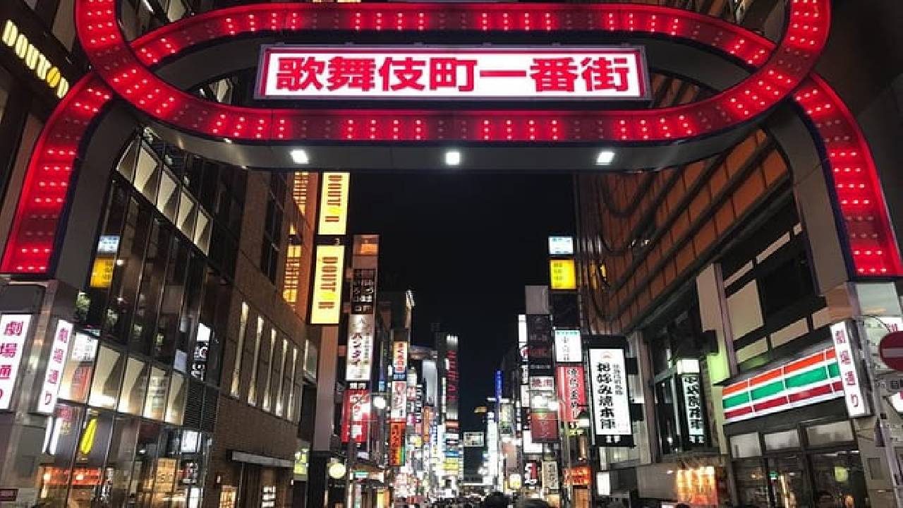 Night Walking Tour in Shinjuku
