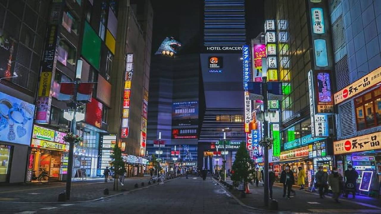 The Dark Side of Tokyo - Night Walking Tour Shinjuku Kabukicho