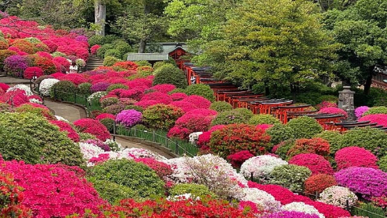 The Old Quarter of Tokyo - Yanaka Walking Tour