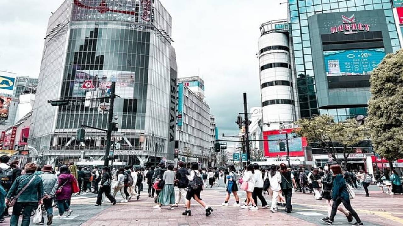 Tokyo Shibuya Crossing & Hidden Streets Walking Tour