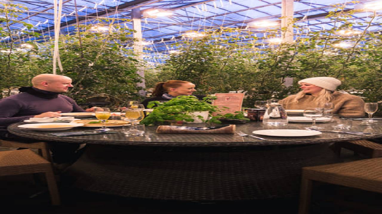 Golden Circle, Laugarás Lagoon & Friðheimar Small Group Tour