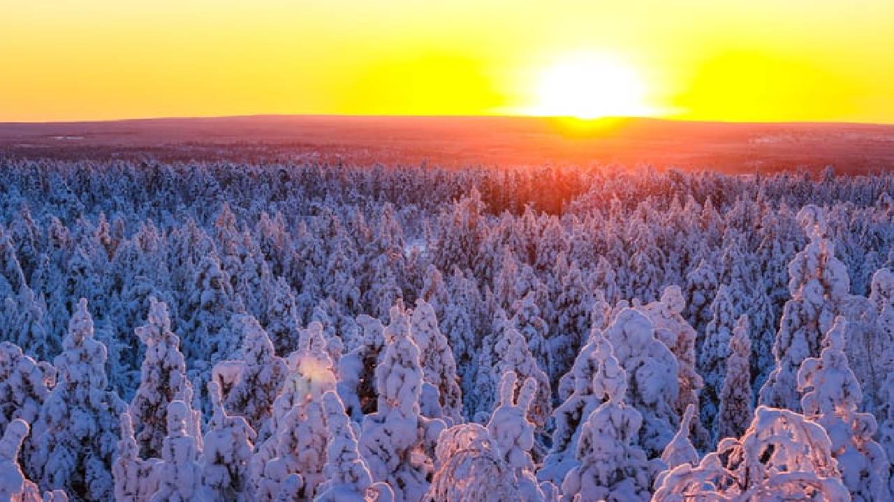 1-Hour Snowmobile Safari Adventure