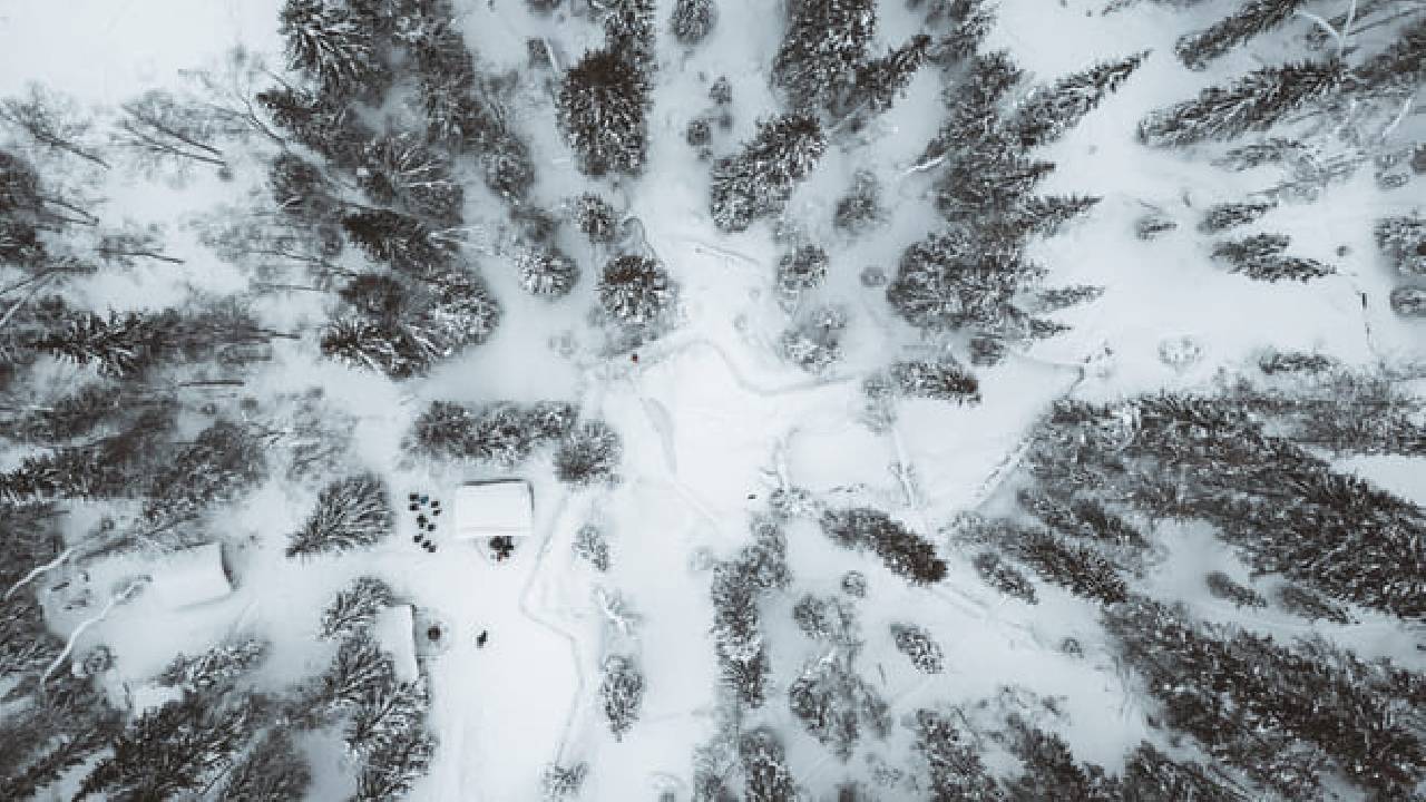 Family-Friendly: Frozen Waterfalls Tour from Rovaniemi