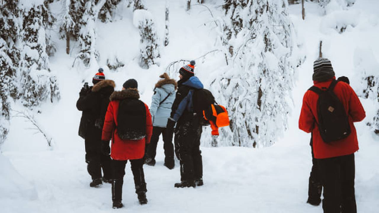 Family-Friendly: Frozen Waterfalls Tour from Rovaniemi