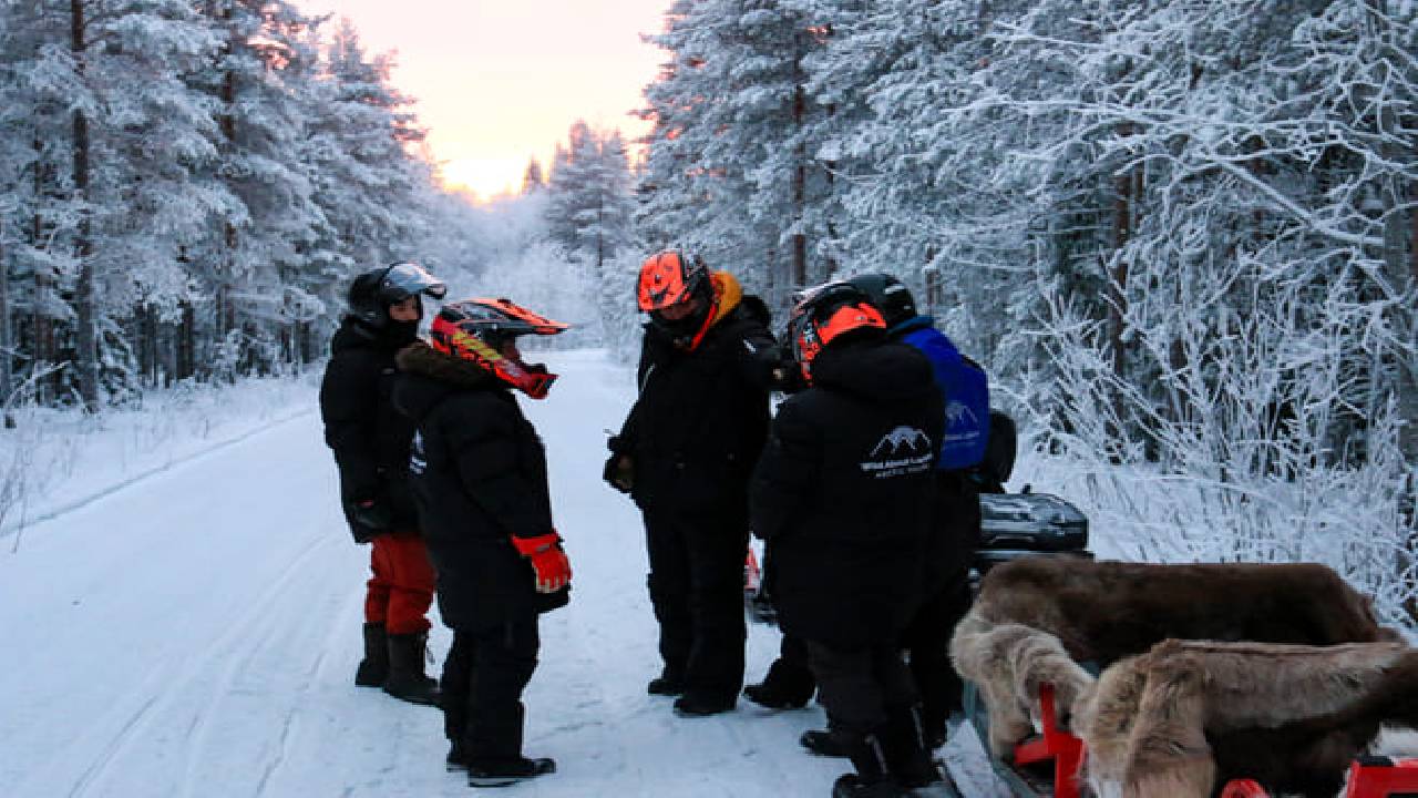 Northern Lights Snowmobile Sledge Ride