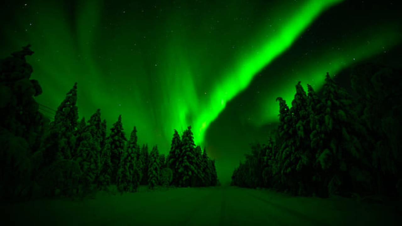 Northern Lights Snowmobile Tour