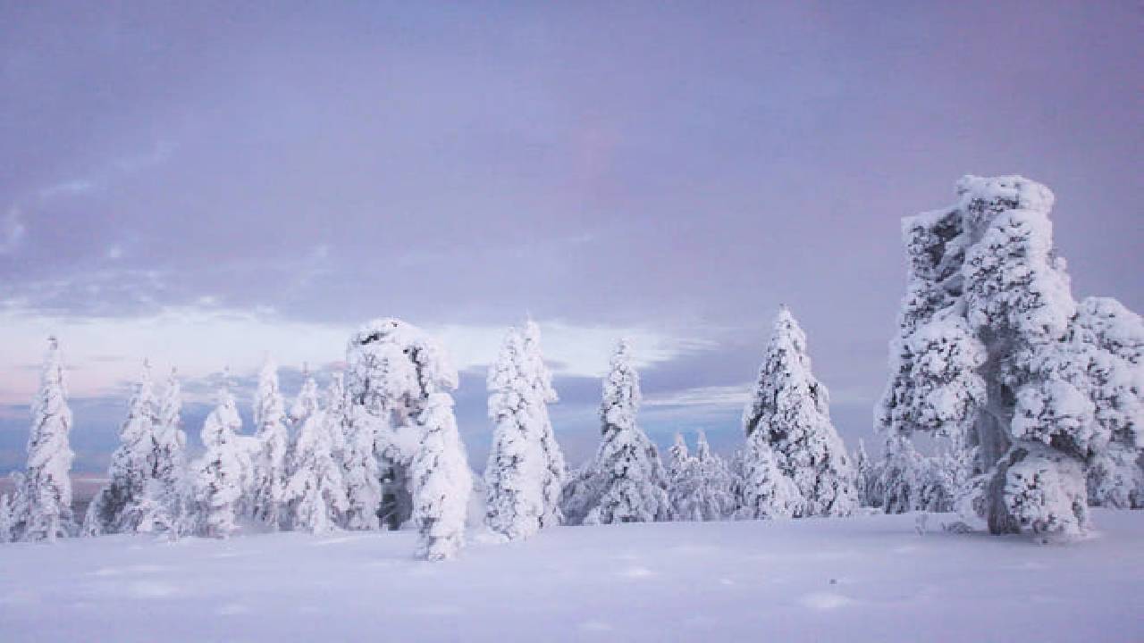 Snowmobile Adventure in Lapland