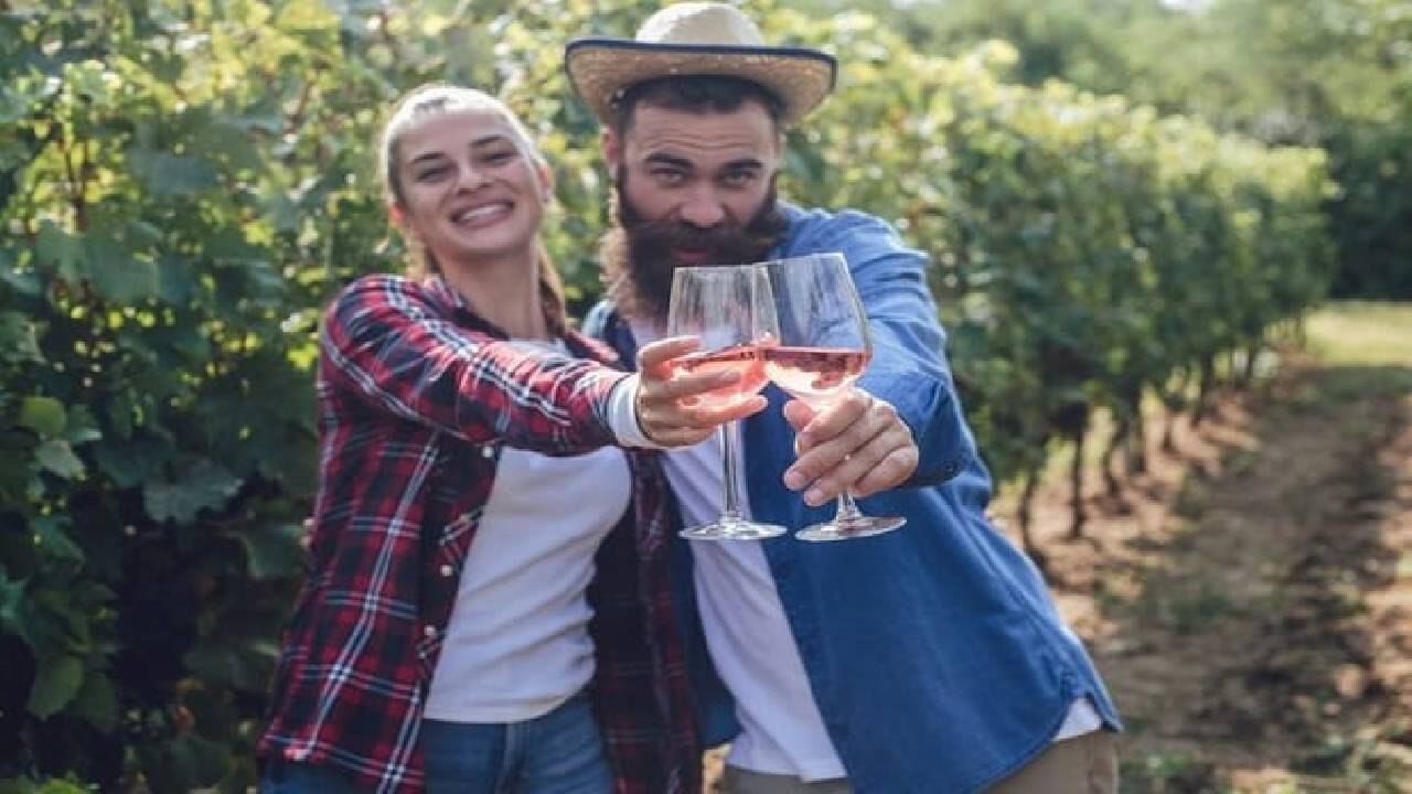 Montserrat Private Day Trip with Codorniu Cava Cellar Tasting