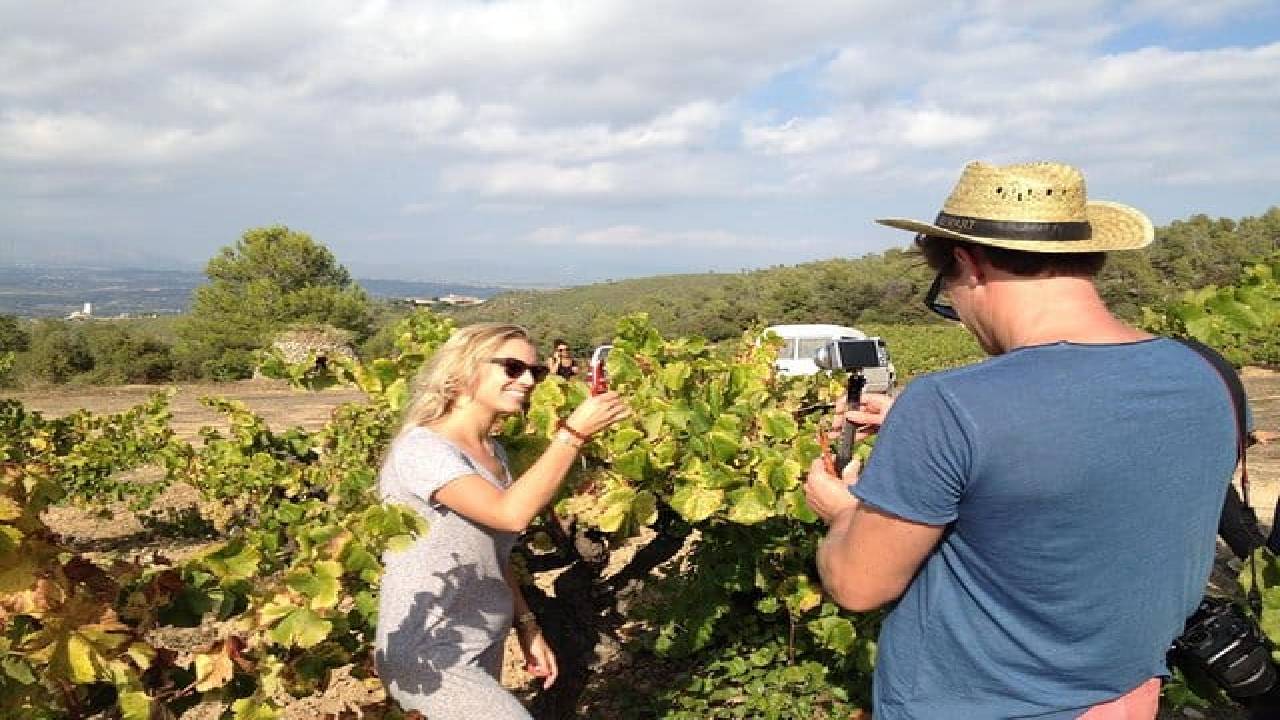 Montserrat Private Day Trip with Codorniu Cava Cellar Tasting