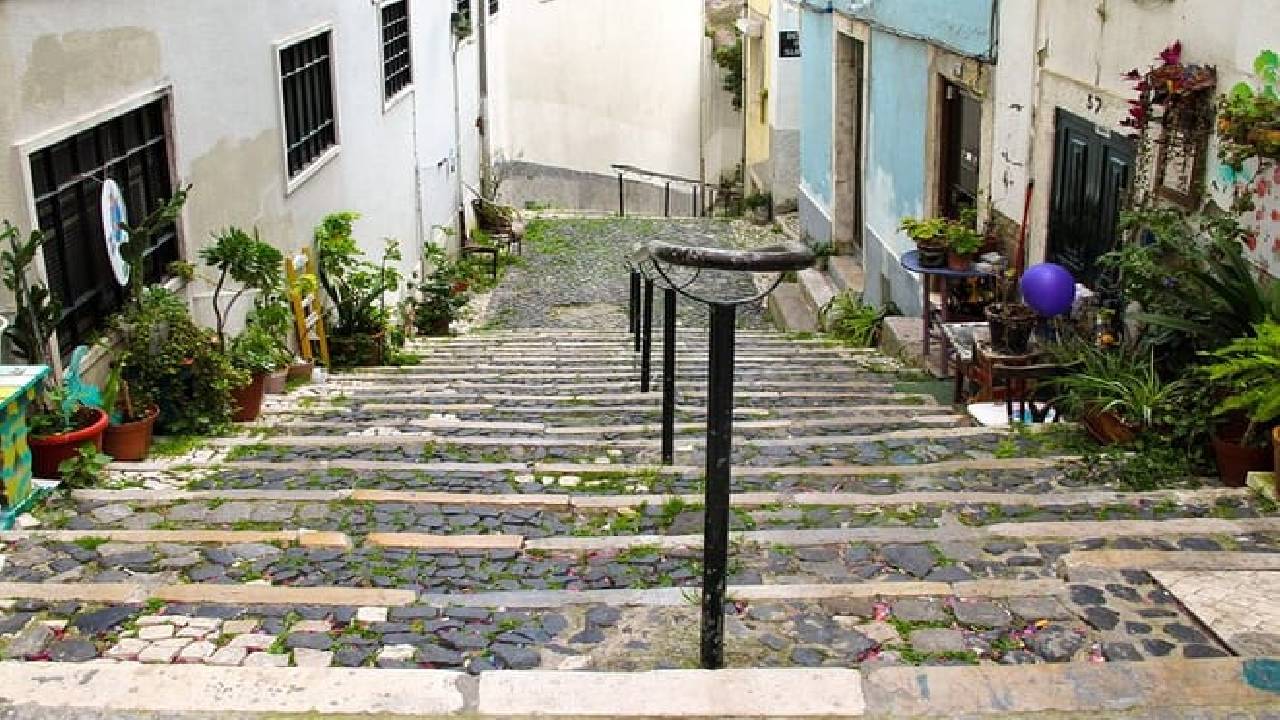 Lisbon Like a Local Private Tour - Avoid the Tourist Route