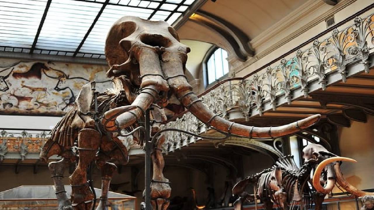 Paris Private Family Tour - Highlights & the Best Museum for Kids