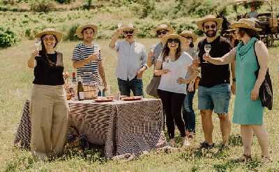 Private Champagne Day Trip - Two Vineyards of Reims & Lunch