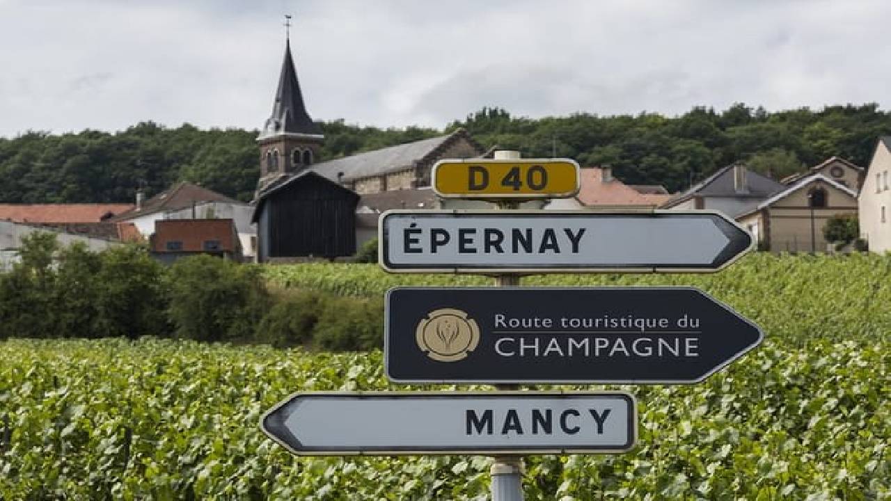 Private Champagne Day Trip - Two Vineyards of Reims & Lunch