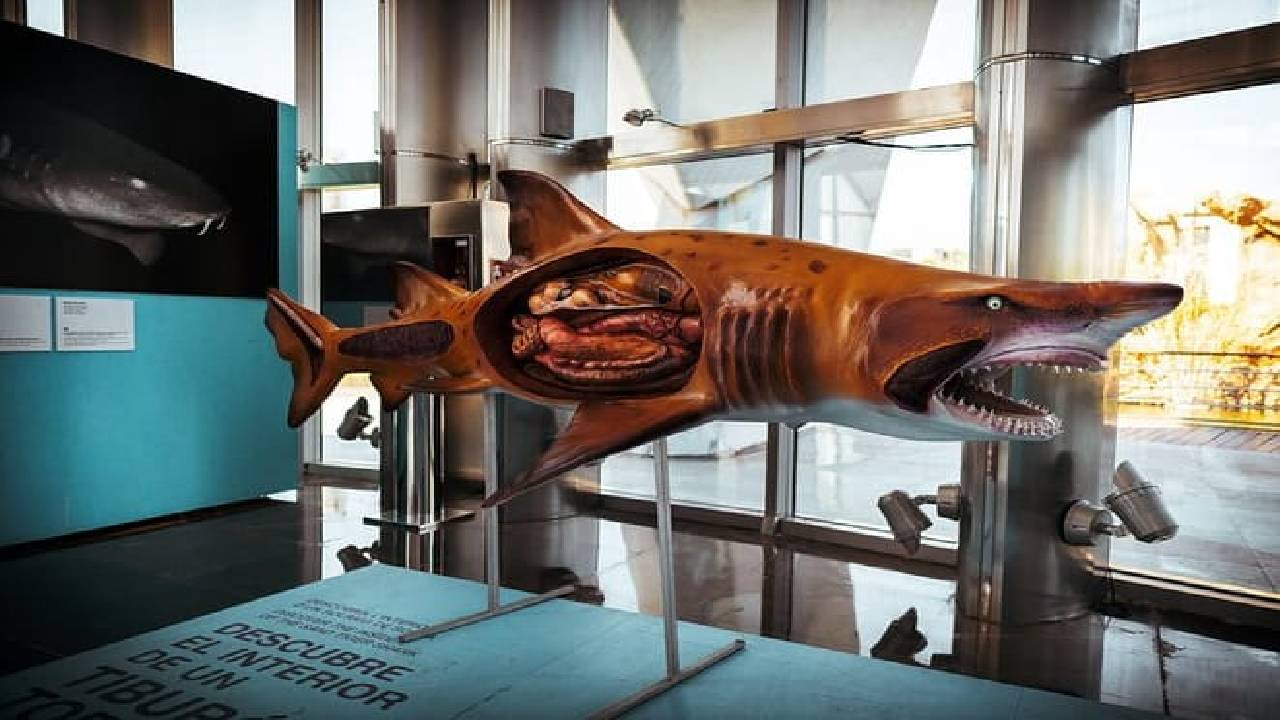 Valencia Private Family Tour