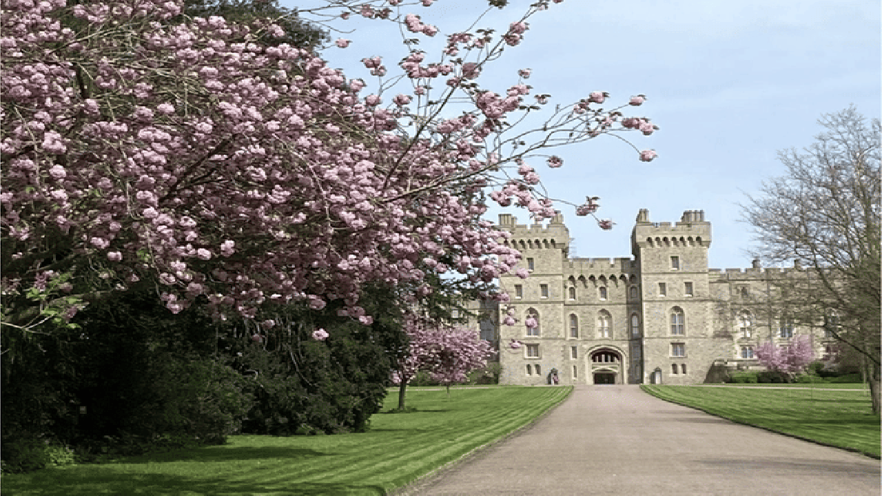 Windsor Castle and Tower of London Tour with entry Tickets 