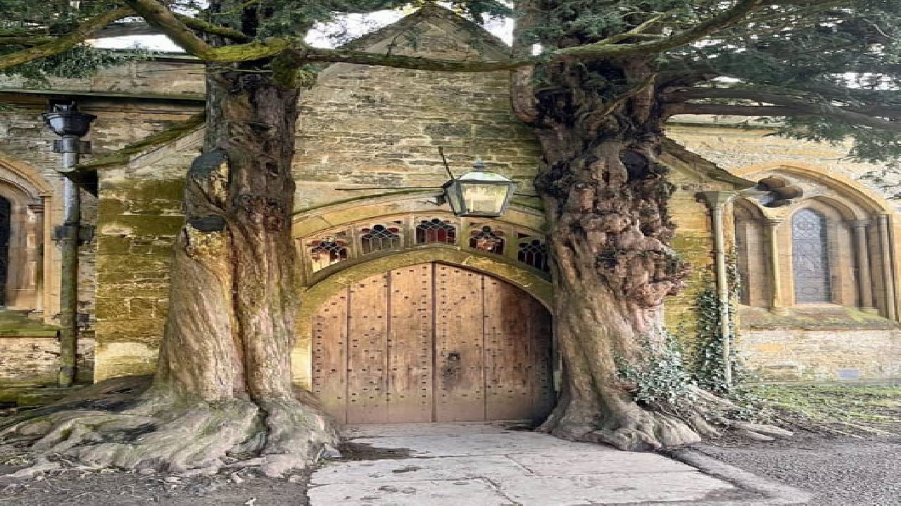 The Cotswolds Guided Day Tour from London