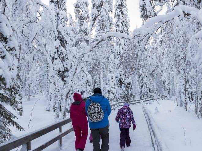 Trip to Ranua Arctic Zoo, Rovaniemi