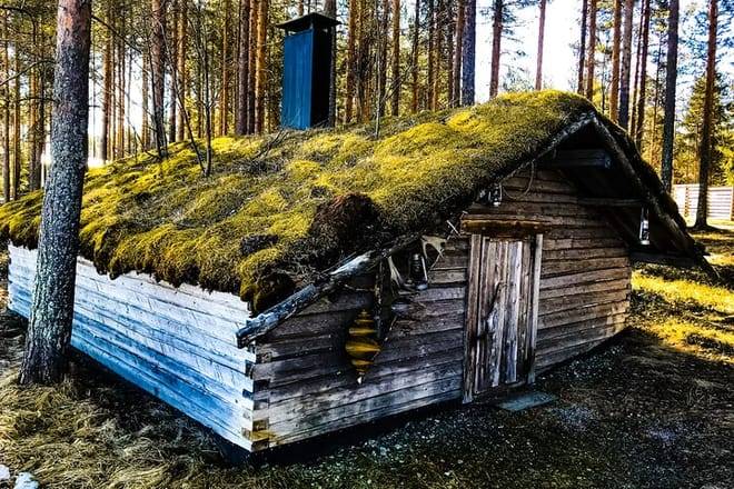 Reindeer Farm Summer Experience