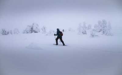 SNOWSHOEING The white walk