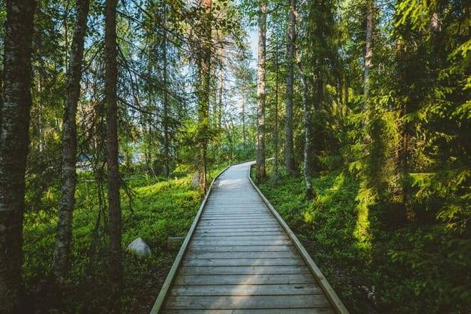 VIKAKONGAS HIKE Nature and Silence 