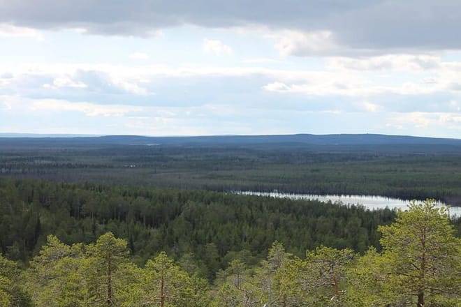 VIKAKONGAS HIKE Nature and Silence 