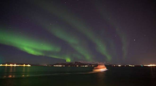 Whales & Auroras