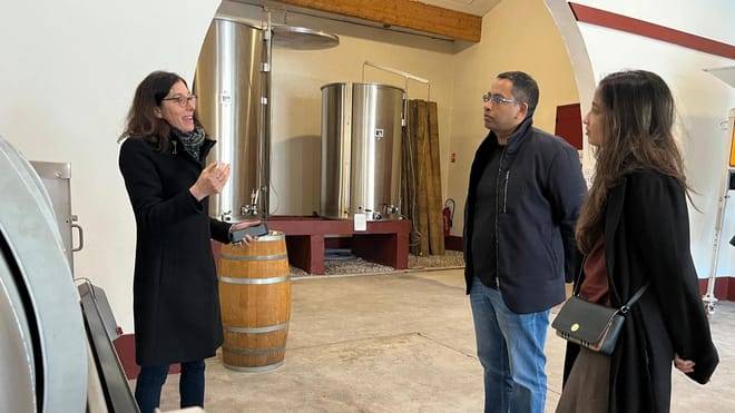 Graves & Sauternes : Private Half Day Tour in a Citroën 2cv